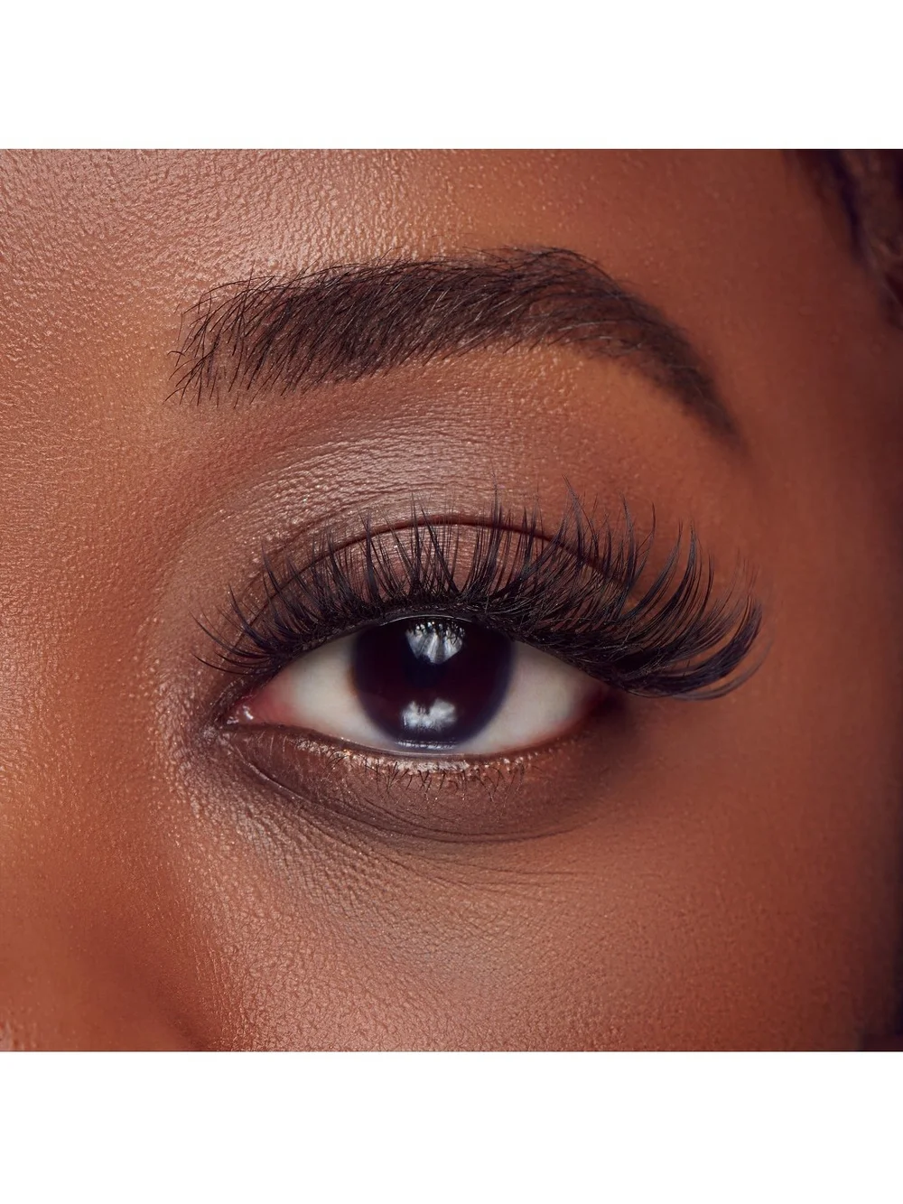 BeBlinky black lash